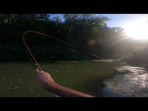 Видео: Мухарски съвместен риболов Fly fishing cooperative