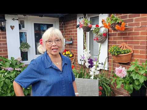 Видео: 549. В ГОСТЯХ У ОЛЬГИ