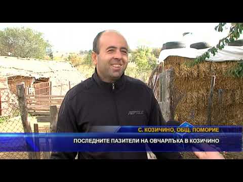 Видео: Последните пазители на овчарлъка в Козичино