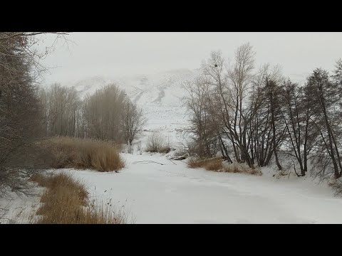 Видео: Казахстан, счастливые дни зимняя сказка Косестека и Алимбетовка 14 января 2022 г.