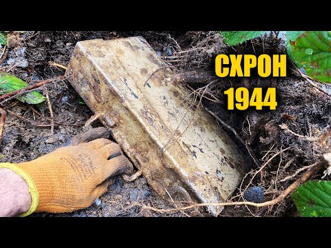 Видео: Знайшли схрон! Повний ящик відкопали в старому лісі. Коп з металошукачем