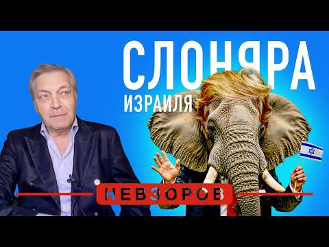 Видео: Невзоров в эфире Лучшего радио Израилья. Про слона и Трампа.