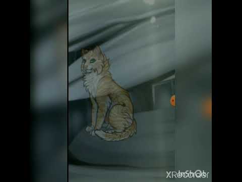 Видео: УНИКАЛЬНЫЙ ОКРАС | Catwar