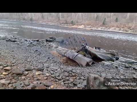 Видео: Часть первая. Куда пропала рыба в Бурее? Талаканский участок реки.