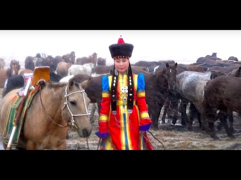 Видео: Жаран цагаан адуу | Kongurei | Клип