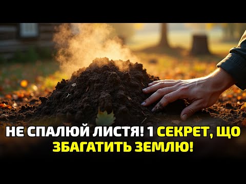 Видео: Не паліть листя! Ви навіть не уявляєте, яку золоту землю знищуєте щороку!