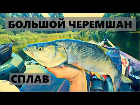 Видео: БОЛЬШОЙ СПЛАВ   БОЛЬШОЙ ЧЕРЕМШАН  Часть 2