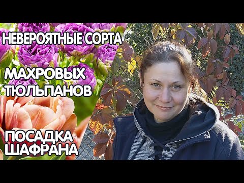 Видео: Посылка с луковичными от Флориум. Невероятные сорта махровых тюльпанов и посадка крокусов