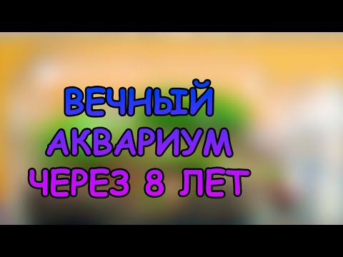 Видео: Вечный аквариум через 8 дет