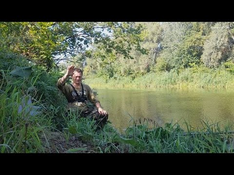 Видео: Рыбалка на поплавок. Нашли пропажу, Елец на поплавок!