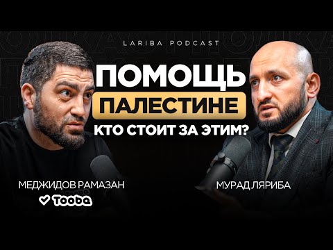 Видео: Как доходила помощь ПАЛЕСТИНЦАМ, Меджидов Рамазан про работу с фондами