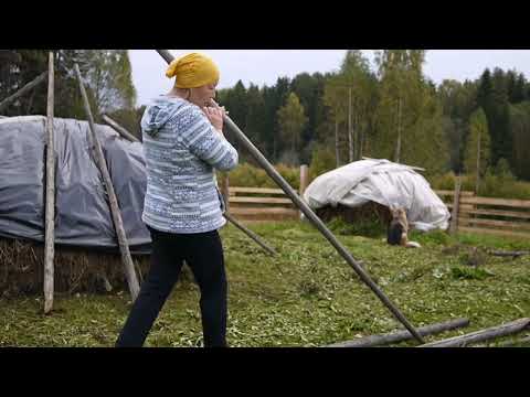 Видео: Наводим порядок на участке 