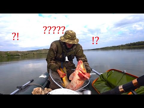 Видео: КРУПНЫЙ САЗАН СОМ - ОСНАСТКА СНАСТИ И ТАКТИКА, РЫБАЛКА С ЛОДКИ НА ДОНКИ
