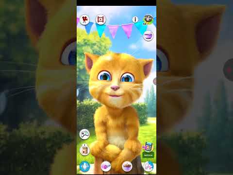 Видео: Мой говоряший Бен и джинджер