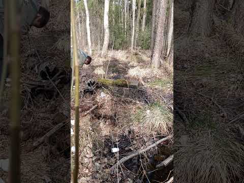 Видео: Поиски изоляторов. Много ТФ.