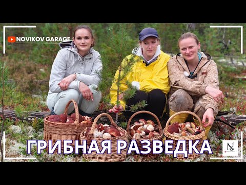 Видео: Грибная разведка 21 сентября 2025. Приозерский район.