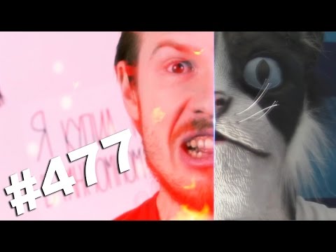 Видео: This is Хорошо - Машина для завтрака. (─‿‿─)