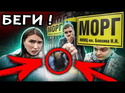 Видео: ЕСЛИ ТЫ УВИДИШЬ ЭТО , ТО СРАЗУ БЕГИ ! ВЫ НЕ ПОВЕРИТЕ , ЧТО МЫ НАШЛИ ! РАНДОНАВТИКА / АЛОЯ ВЕРА