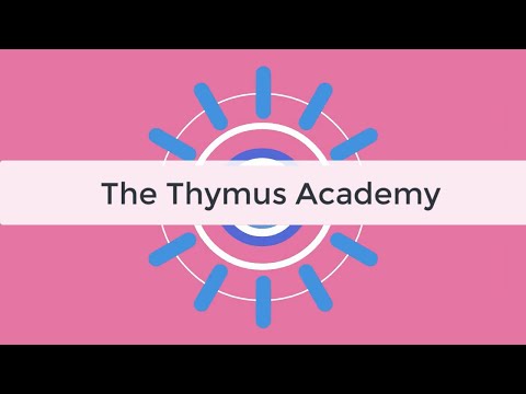 Видео: Учебное пособие по иммунологии тимуса