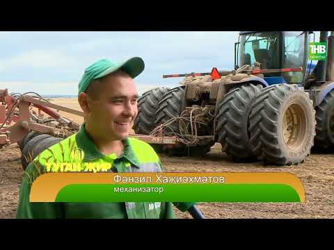 Видео: Туган җир 09/09/22