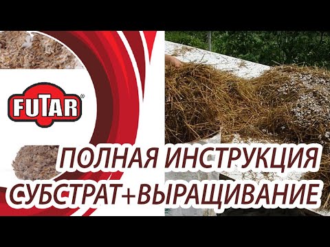Видео: Как мы выращиваем вешенку. Весь процесс - обработка сырья, засев, условия инкубации и выращивания.