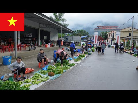Видео: Традиционный рынок Вьетнама | Путешествие по рынку Транг Ким, Хазянг