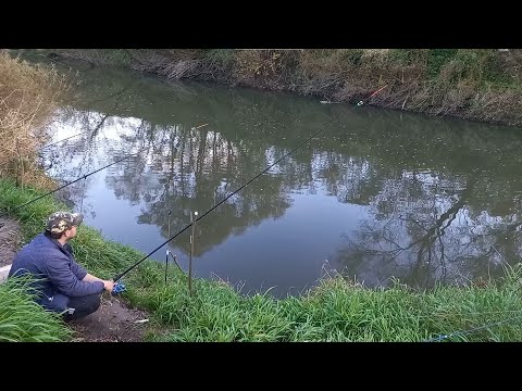 Видео: Рибалка  і відпочинок на Дністрі. Сезон закрито.