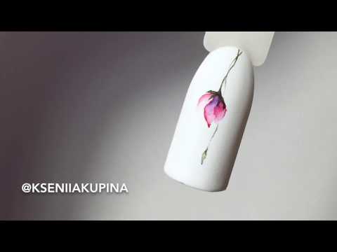 Видео: Бутон розы акварелью. Акварель на ногтях | Watercolor nail art