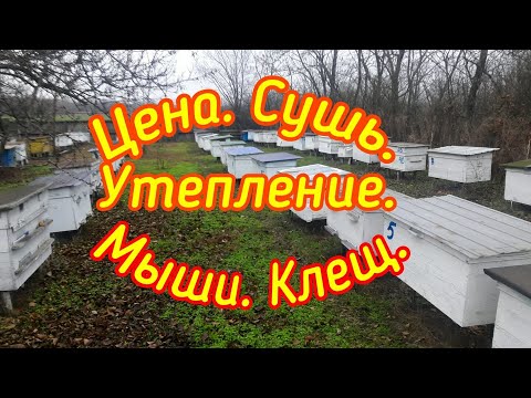 Видео: ЦЕНА. СУШЬ. УТЕПЛЕНИЕ. КЛЕЩ. МЫШИ. ДОСУГ.