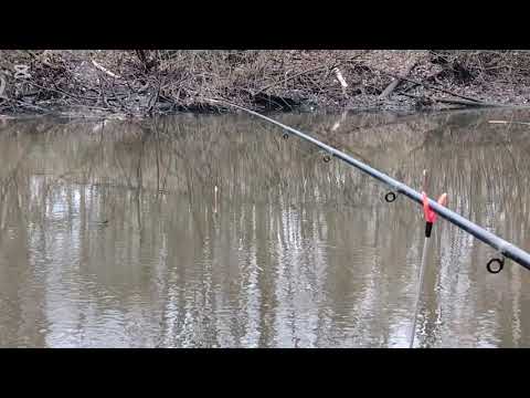 Видео: Рыбалка в ноябре. 