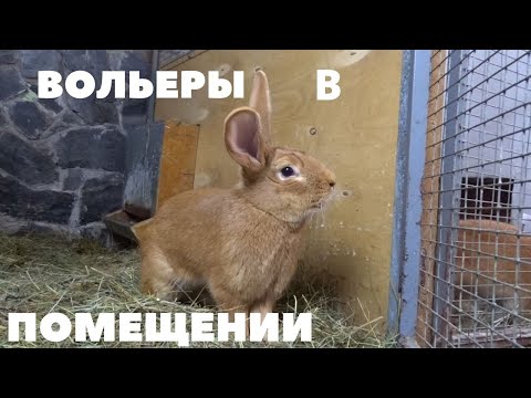 Видео: Вольерное содержание зимой кроликов в закрытых вольерах/Мясные породы