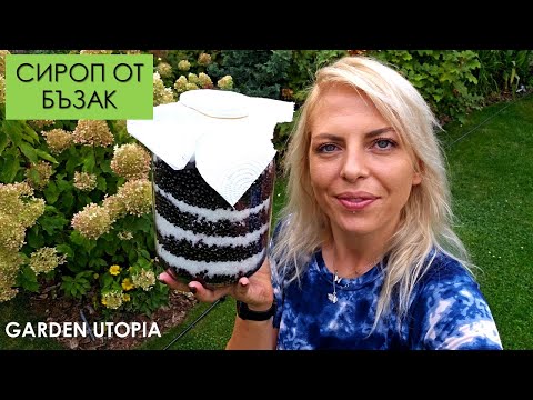 Видео: #Ден 11 от 90 ДНИ НА СЕЛО: Сироп от бъзак
