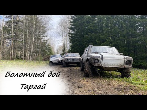 Видео: Болотный бой Таргай
