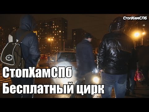 Видео: СтопХамСПб - Бесплатный цирк