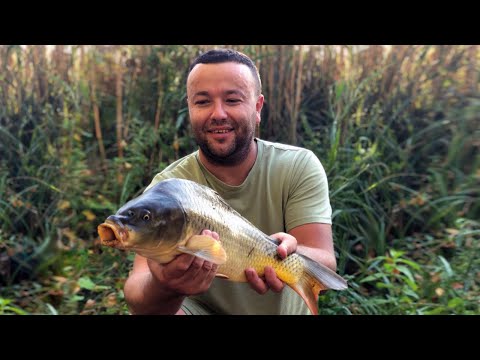 Видео: Рибалка на КОРОПА та КАРАСЯ, Рибалка на ЛІМАНІ.