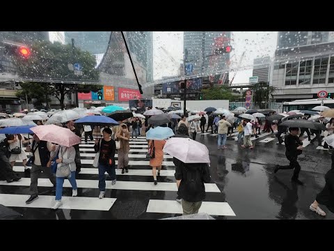 Видео: Улицы Токио, Сибуя перекресток