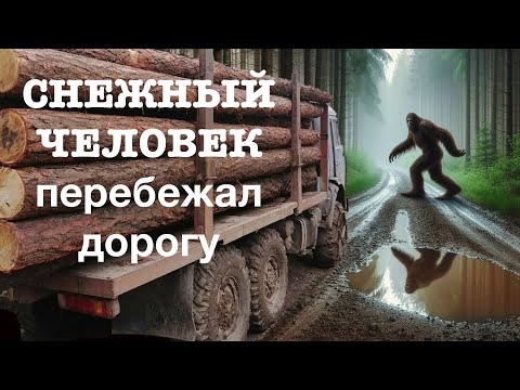 Видео: СНЕЖНЫЙ ЧЕЛОВЕК перебежал дорогу