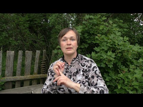 Видео: Обработки виноградника. Препараты. Схемы. План на лето 2021