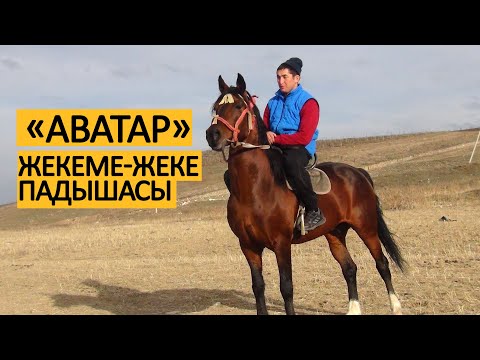 Видео: “Аватар” аргымагы//маалында 100миң сомго эч ким албай койгон//