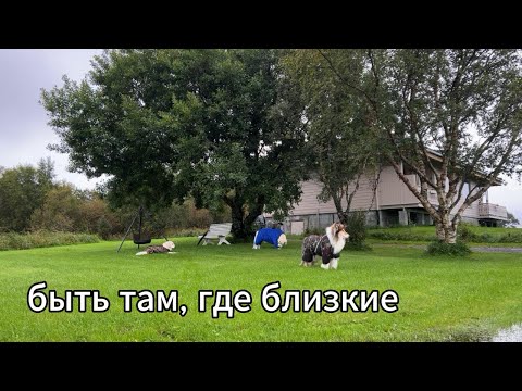 Видео: тихая жизнь на острове/почему я не уезжаю зимой?