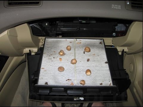 Видео: Замена фильтра салона в Tiida