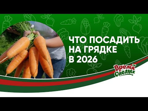 Видео: Что посадить в 2026 году: секреты урожая и советы дачника