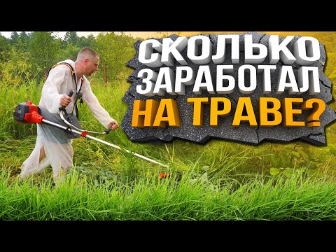 Видео: Покос Травы - Сколько Заработал?