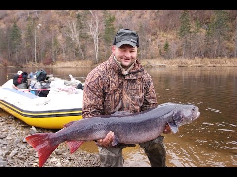 Видео: Река счастья или Атака тайменей