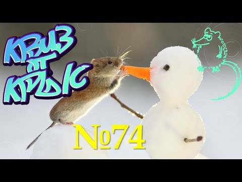 Видео: КВИЗ от КРЫС эпизод 74 QUIZ ot KRYS ep #74