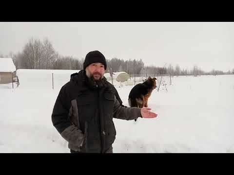 Видео: Авитаминоз у кур и гусей. Профилактика без химии.