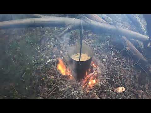 Видео: Охота на куницу, проверяю капканы.