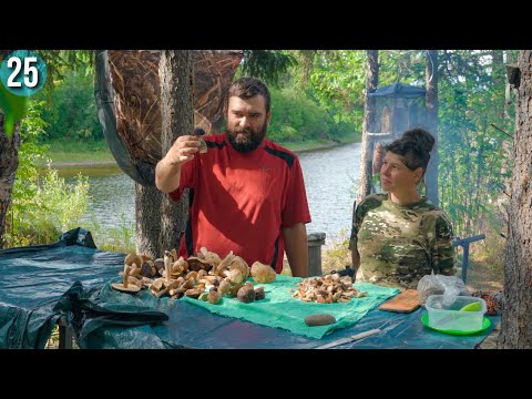 Видео: Bushcraft по-русски, собираем грибы на зиму. 35 день в тайге, скоро зима. Приполярный Урал. Бушкрафт