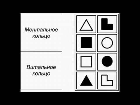 Видео: Соционика. Статика - динамика. Самая важная шкала.