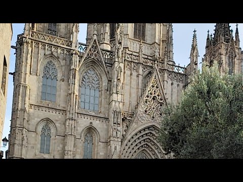 Видео: 31 октября. Лариса Никитина в прямом эфире!